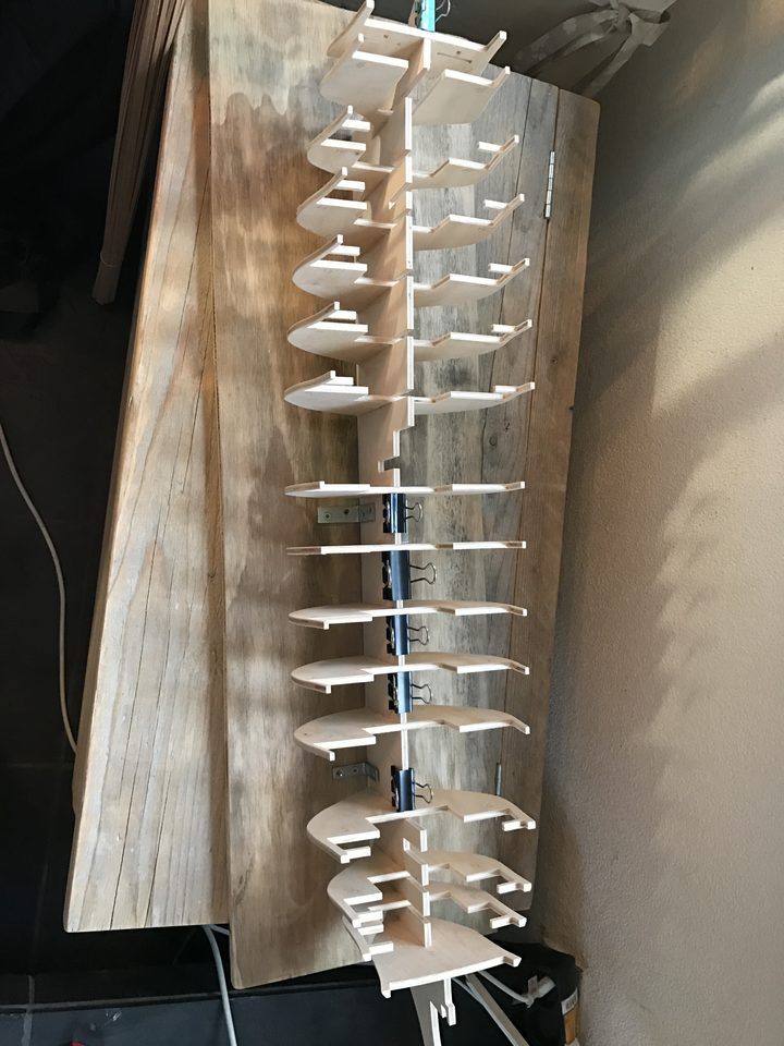 Keel and bulkheads glued, held square with clamps