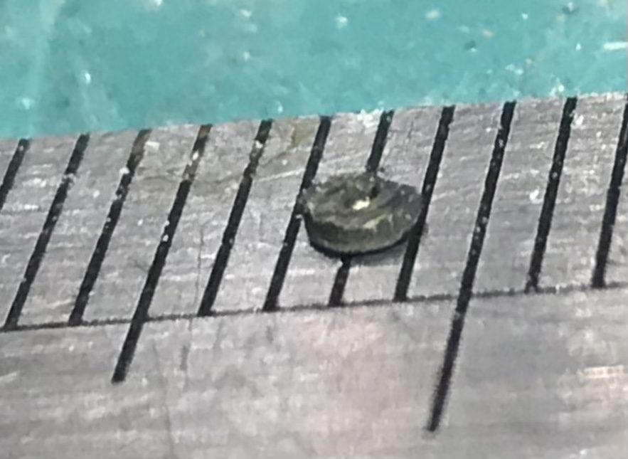 Another ring on the ruler