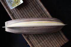 Build photo of the HMS Diana model, 2018-11-04