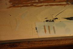 Build photo of the HMS Diana model, 2018-12-16
